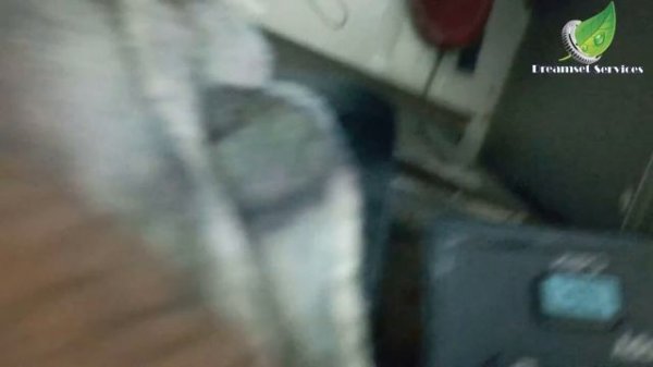 Error 10.1000 Printer Error Fix