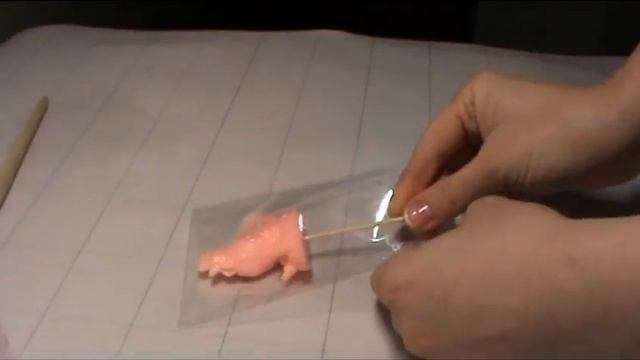 мыло петушки мастер класс петушок на палочке символ 2017г смотреть онлайн