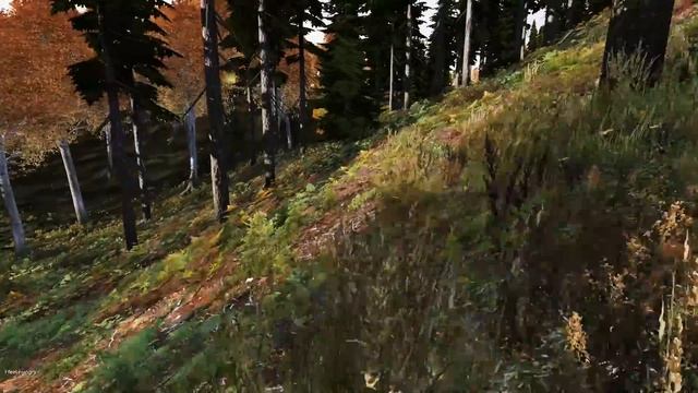 DayZ Standalone. ПЕРВЫЕ ШАГИ [серия 2] смотреть онлайн
