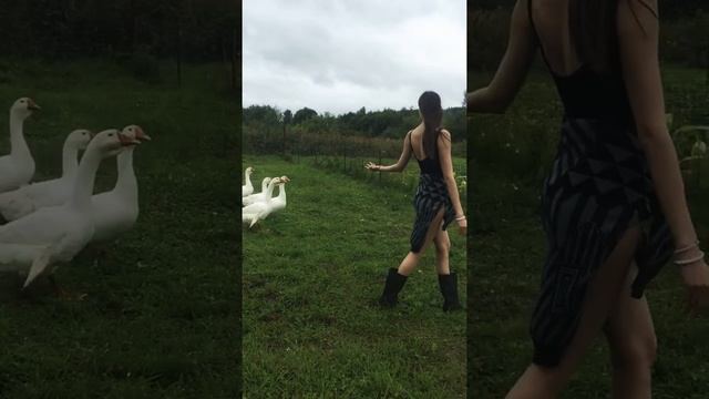 Деревенский стиль смотреть онлайн