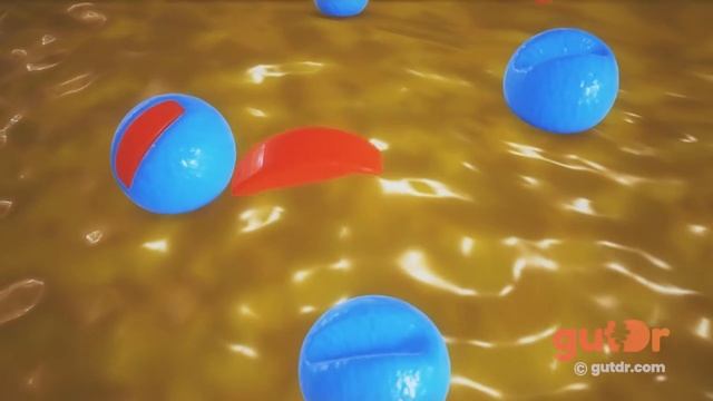 What Happens During Vomiting? | The GutDr Explains (3D Gut Animation) смотреть онлайн