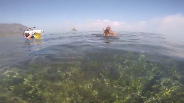 squid fishing смотреть онлайн