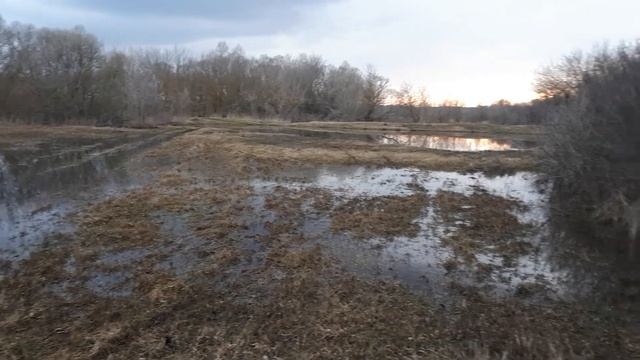 мокрая панда в ширяевке, ворона в пущино смотреть онлайн