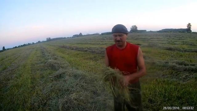 Гребем сено. Сенокос 2020. МТЗ 892 + грабли ГВВ-6 смотреть онлайн