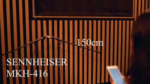 SENNHEISER MKH-416 vs RODE NTG-3