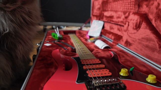 IBANEZ JEM777SK 30TH ANNIVERSARY ELECTRIC GUITAR смотреть онлайн