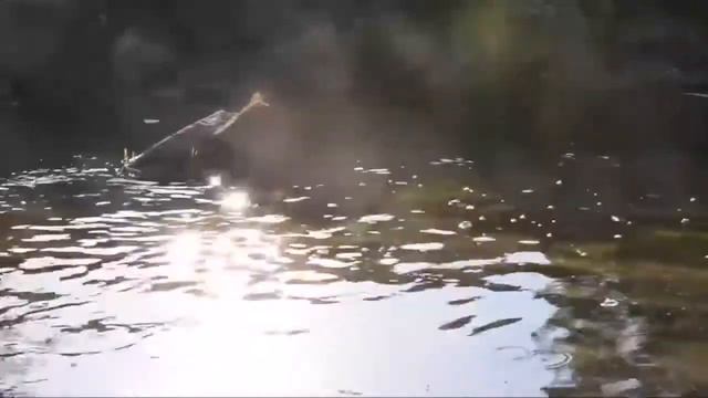 Ночное вдохновенье сентября... смотреть онлайн