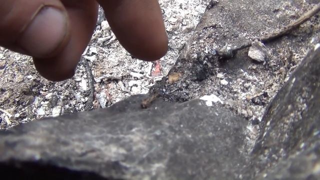 Медведи ПРИШЛИ к ШАЛАШУ РЫБАЛКА 22 КРАСНАЯ СКАЛА 19 Выживание Сибирь Тайга Поход Охота Лес Таймен смотреть онлайн