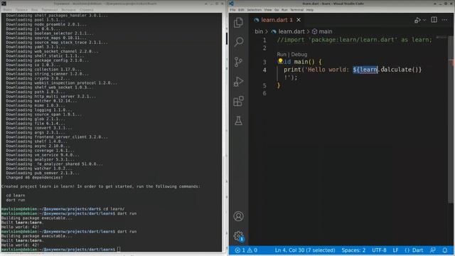 01. Изучаем Dart. Базовая программа
