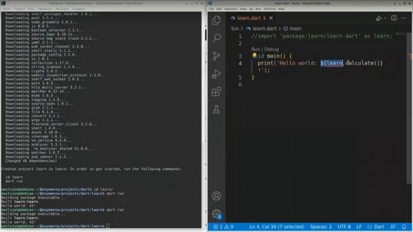 01. Изучаем Dart. Базовая программа