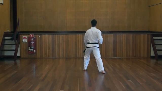 Saju Jirugi - White Belt Pattern - Jinhwa Taekwondo смотреть онлайн