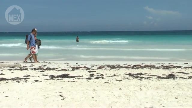 Tulum Beach - Mezzanine Beach - Tulum's Hidden Paradise. 25 Top Beaches in Riviera Maya смотреть онлайн