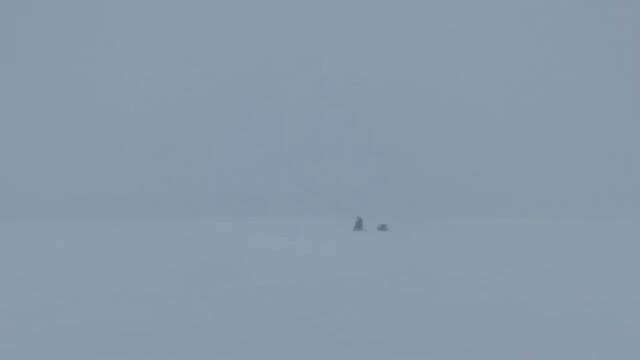 Охота и рыбалка в окрестностях Келдозера Вытаскиваем поломанный мотобуксировщик смотреть онлайн