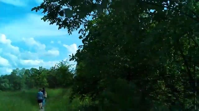 Прогулка по заповедным местам//Теллермановский лесной массив// смотреть онлайн