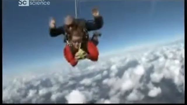 Проект Земля Возрождение лесов смотреть онлайн