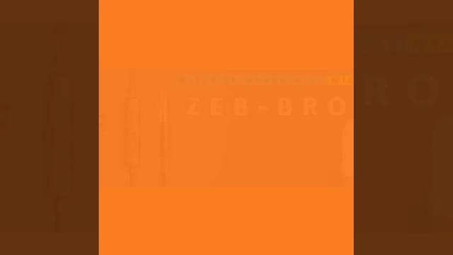 |TOP 2 Low BUDGET ZEBRONICS EARPHONES ||Cheap n Best in low Budget price|| SabseSastaOrAchaEarphpne смотреть онлайн