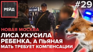 Лиса укусила ребенка, а пьяная мать требует компенсации | Росгвардия | Новая Москва - Рейд #29