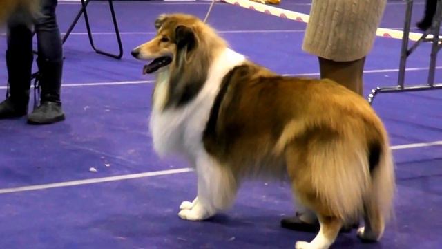 ПК Самара 22 02 2015 Ч3 смотреть онлайн