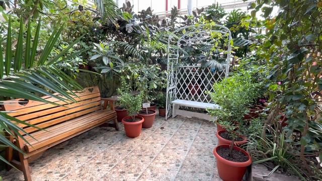 ПЕРВОПРОХОДЦЫ: КРУИЗ В УФУ! Часть 6. Уфимский лимонарий, Ботанический сад и мёд! Сюрприз в порту! смотреть онлайн