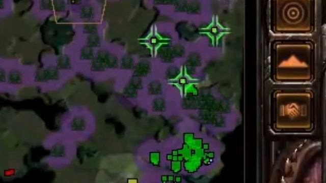 How to Master Kerrigan in 1 minute смотреть онлайн