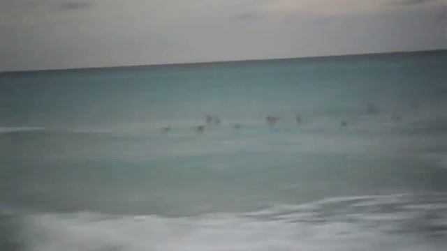 Куба.Океан и птицы.AVI