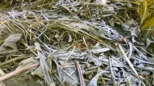 Теплообменник из чугунных батарей потёк смотреть онлайн