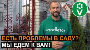 В гостях у подписчика! Самые распространенные болезни в саду и методы их лечения
