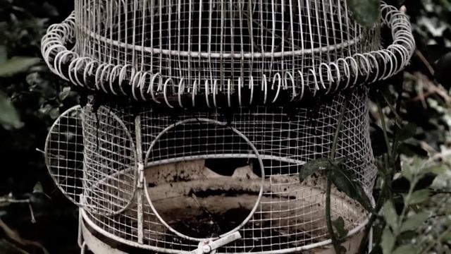 Признаки тяжелой родовой кармы. Вы можете игнорировать связь с родом, но вам не укрыться от кармы смотреть онлайн