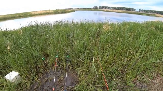 Линь на донки смотреть онлайн