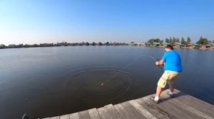 Монстры-сомы.Самый большой сом в мире, из книги рекордов. Вот это рыбалка!