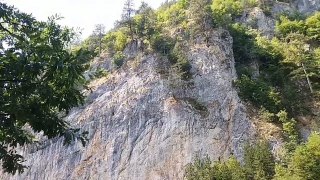 Национални парк Тара / Tara National Park, Serbia смотреть онлайн