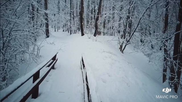 Зимний лес смотреть онлайн