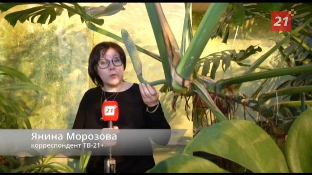 Заповедник: Тропики в снегу смотреть онлайн