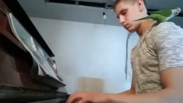 мелодия из фильма Хатико: верный друг смотреть онлайн