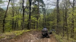 Квадро-путешествие по Краснодарскому краю