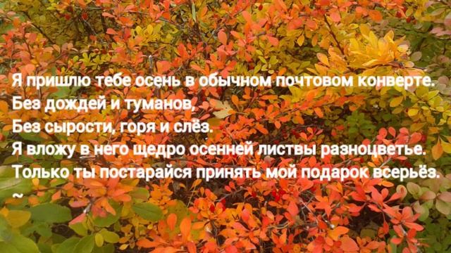 Цветаева- я пришлю тебе осень в обычном почтовом конверте смотреть онлайн