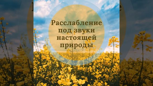 Звуки природы для йоги смотреть онлайн