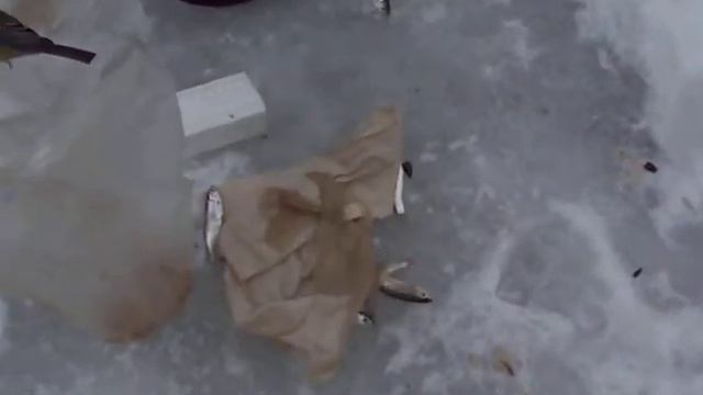 Наглая синичка смотреть онлайн