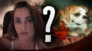 Что случилось с Кэтлин и её собакой_ Загадочное исчезновение Кэтлин Хейли