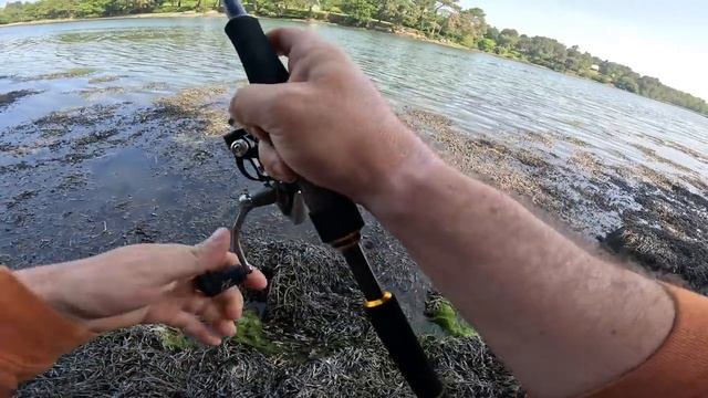 PÊCHE DU BAR À VUE ! cette créature RAPPORTE GROS ! (pêche du bar aux leurres) смотреть онлайн