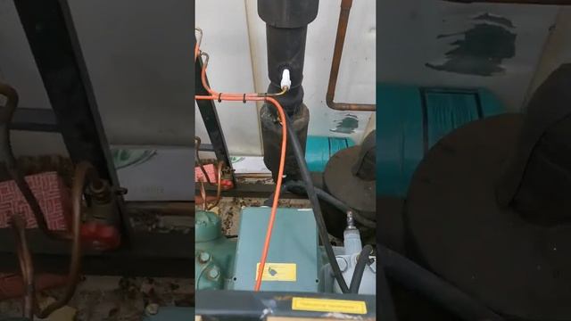 Агрегат для шоковой заморозки смотреть онлайн