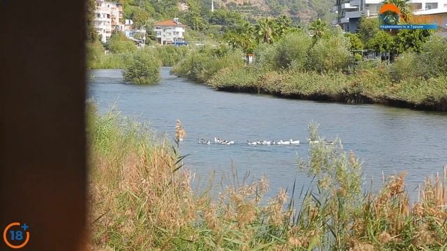 Пляжи в Алании. Недвижимость в Турции, Аланья. Пляж в Тосмуре || RestProperty смотреть онлайн