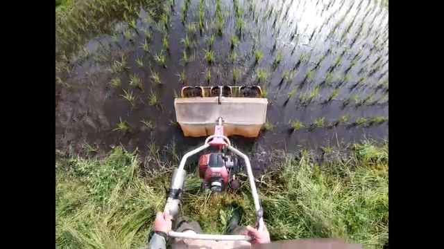 Operating a weed removing machine in rice paddy смотреть онлайн