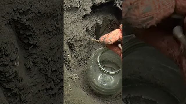 Как поймать КРОТА на БАНКУ ? #shorts #как_поймать_крота смотреть онлайн