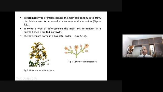Biology Live Lecture 19 (Flowering Plant Morphology Cont..) By Prof GK Bhat #NEET