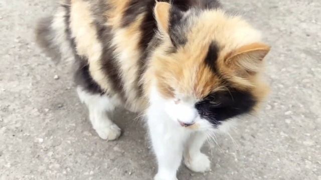 14 апреля 2022 г.Как сварить вкусно ?рис. Влог. смотреть онлайн