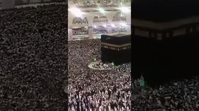 Сколько здес? ? #islam #islamic #islamicstatus #alhaj #hajj #kaba #makkah #makka #quran #allah смотреть онлайн