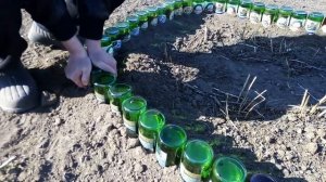 ЛАЙФХАК Бордюр для цветочной клумбы из стеклянных бутылок!бордюр садовый