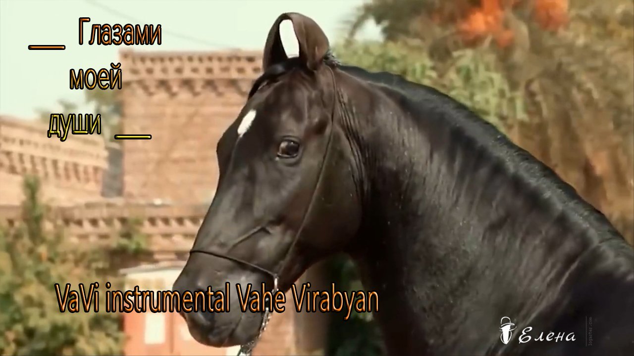 Глазами моей души*