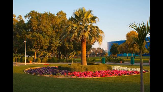 1. Богобоязненность и благонравие. Наставление Абу Зарра и Муаза. (Часть 1) смотреть онлайн